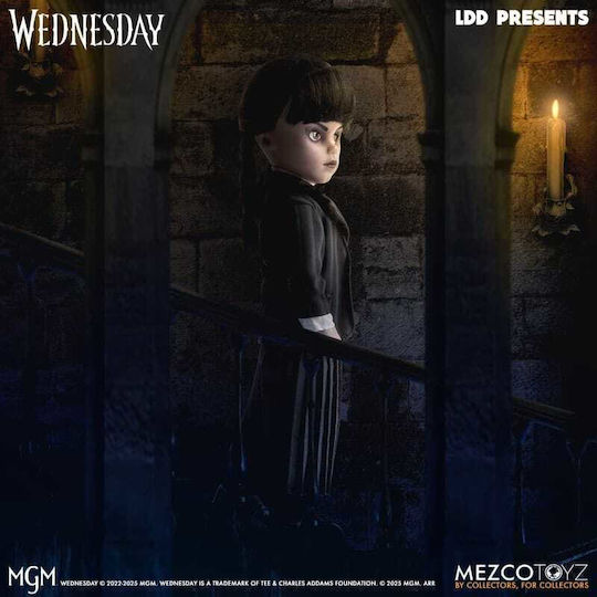 Wednesday Основа