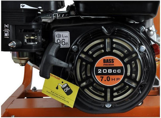 Bass Polska Pompa de apă de suprafață electrică