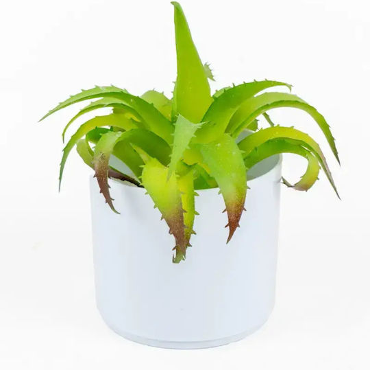 SteweHome Artificial Cactus Suklentes White Potted Plant