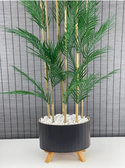 Stewehome Dekorative Topfpflanze Palmyra 6 Stämme Holz-elliptischer Basis Topf
