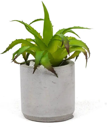 Stewehome Set of 3 Pieces Artificial Cacti Succulent Modern White Plastic Pot