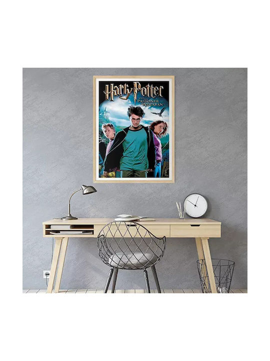 Poster Harry Potter Prisoner Azkaban Mv383 30cm X 40cm-71820pd159574