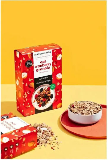 Müsli Hafer Cranberry 200g