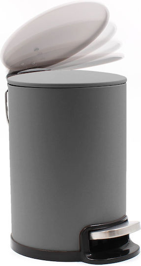 Douceur d'Intérieur Metallisches Badezimmer Behälter Soft Close 3lt Grau