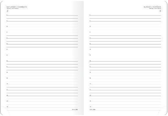 The Writing Fields Softline Tägliche Tagesordnung A4 2027 Braun 21x29cm