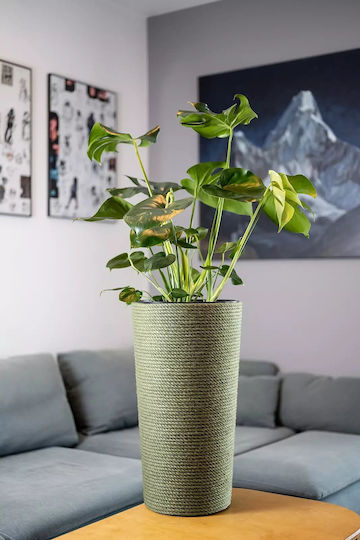 Adoni Bambus Grüner Pflanzgefäß 32x57cm
