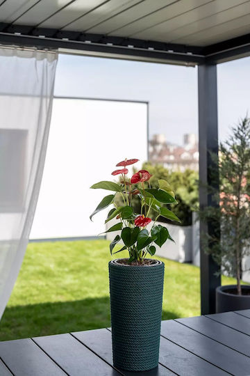 Adoni Kunststoff Blumentopf Grün 22x36cm