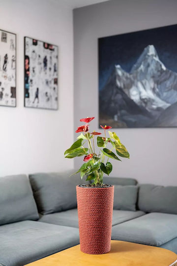 Adoni Kunststoff Blumentopf Rot 36x36cm