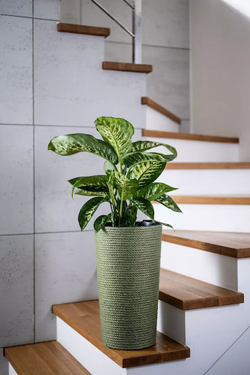 Adoni Kunststoff Blumentopf Grün 28x47cm