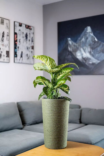 Adoni Kunststoff Blumentopf Grün 28x47cm