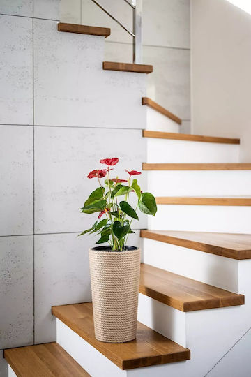 Adoni Kunststoff Blumentopf Jute Adoni Kunststoff Blumentopf Jute