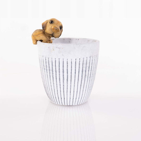 Progarden Pot Decorativ Din Plastic 9.5x9.5x5cm SP01_15971037