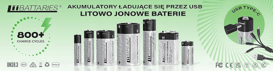 Liithio-Batterien CR123A 3V Einweg (Long Life) 2 Stück