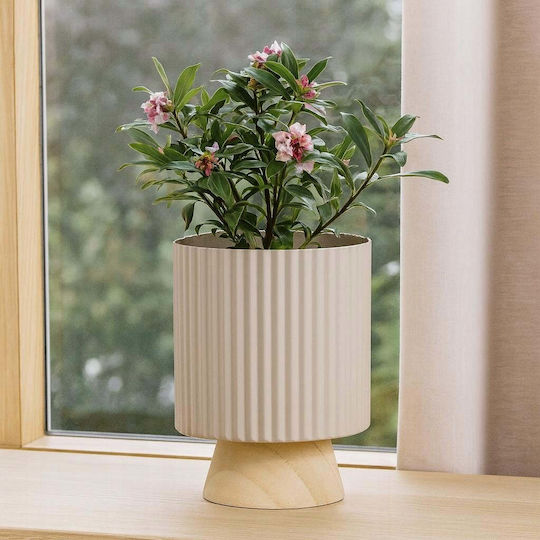 Progarden Wooden Beige Flower Pot Progarden Wooden Beige Flower Pot