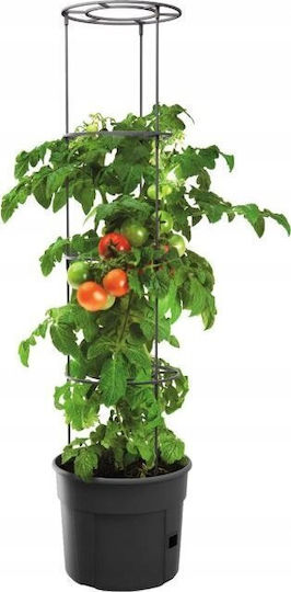 Home&Styling Collection Plastic Climbing Flower Pot Home&Styling Collection Plastic Climbing Flower Pot