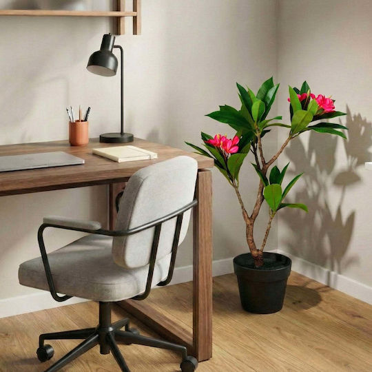 Magnolia În Ghiveci (Diverse Modele) Kaemingk Magnolia În Ghiveci (Diverse Modele) Kaemingk