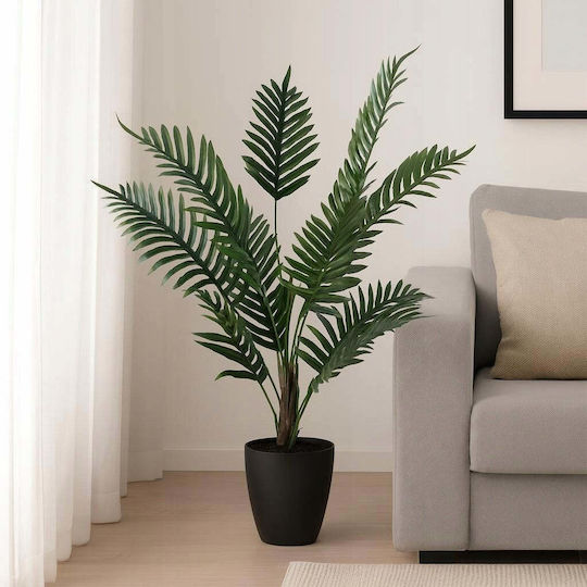 Black Potted Palm Tree Black Potted Palm Tree