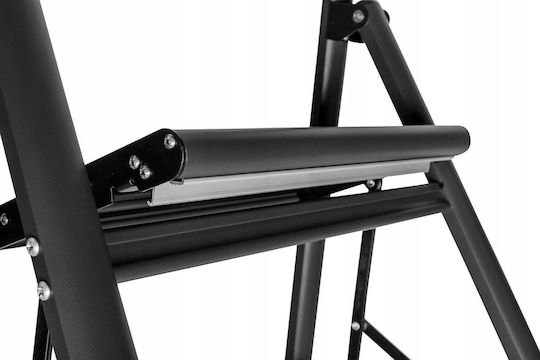 Wenko Aluminium-Leiter mit 2 Stufen