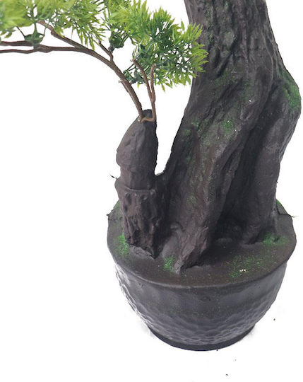 Bonsai in Topfpflanze 160cm