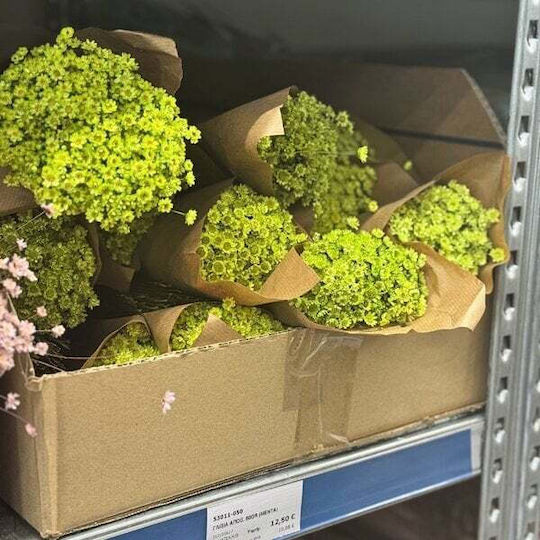 Γλιξια Αποξηραμενο Λουλουδι 50gr Μεντα