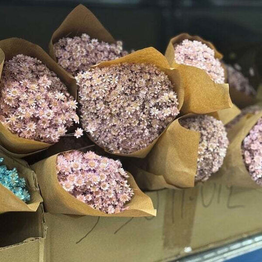 Γλιξια Αποξηραμενο Λουλουδι 50gr Λιλα
