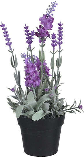 Plantă Artificială în Ghiveci Mic Lavanda Black 12cm Interni Oggi