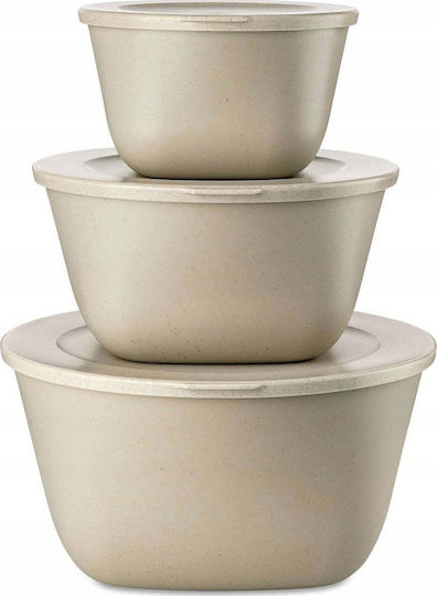 Koziol Set Plastic Lunch Boxes 3 Pieces