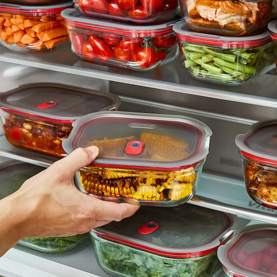 Blum Glass Black Lunch Box 1.2lt