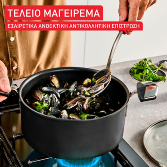 Tefal Excellence Saute Pan from Aluminum with Lid with Non-Stick Coating 24cm