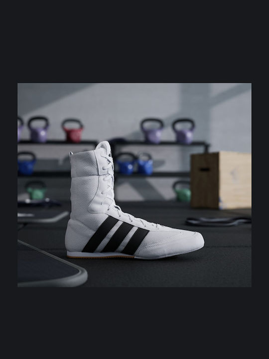 adidas Hog Înalte Pantofi de box Albe