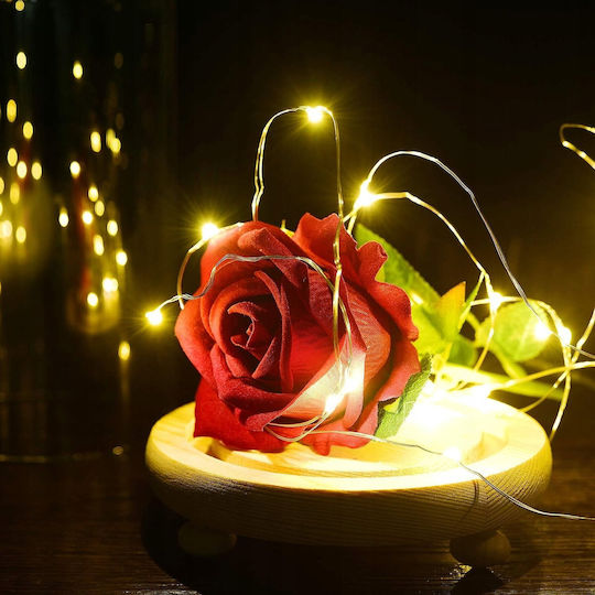 All Saints Red Rose 22cm with Led Springos
