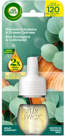 Air Wick Ätherische Öle Ersatz Für Elektrischen Raumduft Blau Eukalyptus Zedernholz 19 Ml