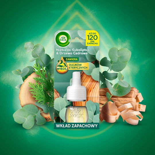 Air Wick Ätherische Öle Ersatz Für Elektrischen Raumduft Blau Eukalyptus Zedernholz 19 Ml