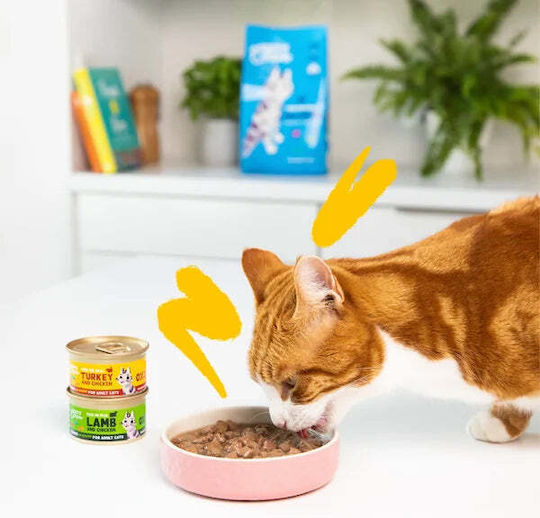 Edgard Cooper Edgard Cooper Nasses Katzenfutter Für Erwachsene Katzen Mit Lamm Huhn Und Fleisch Ohne Getreide 85gr
