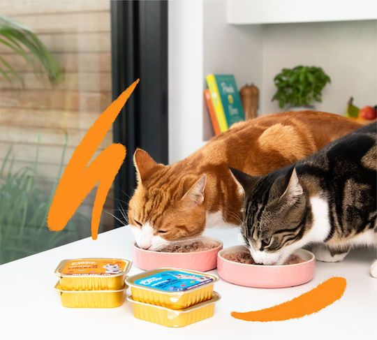Edgard Cooper Wet Food for Adult Cats with Salmon and Chicken 85gr