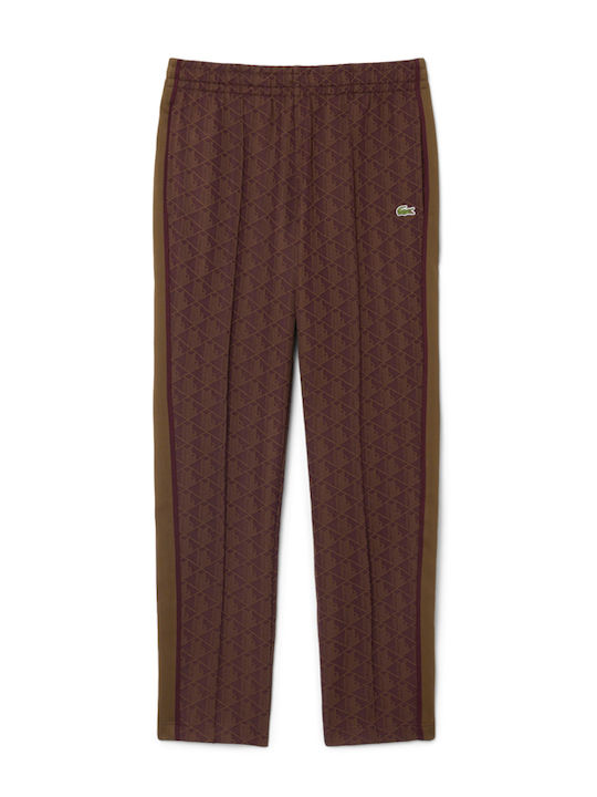 Herren-Sweatpants Burgundisch-Haki