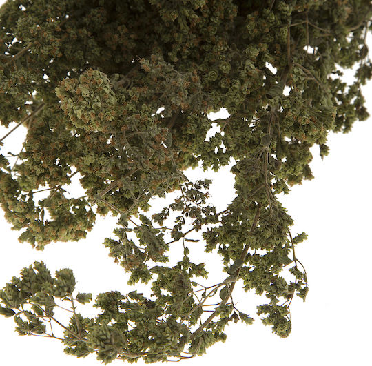Oregano Bundle from Evia 80 g