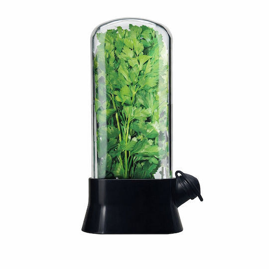 Suport Pentru Menținerea Prospețimii Plantelor În Frigider Recipient Cu Capac Transparent Sistem De Hidratare Pentru Menținerea Prospețimii Plantelor Design Modern Pentru Bucătărie Reutilizabil Ușor De Utilizat 27x13 Cm Negru Pristyle