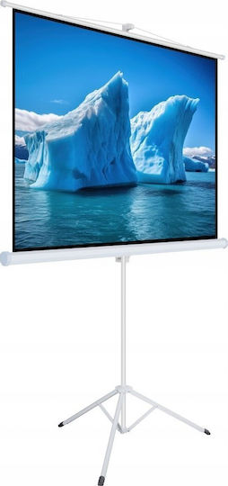 Ръчен екран за проектор на статив 120 инча 183x244cm Ta-120 4:3