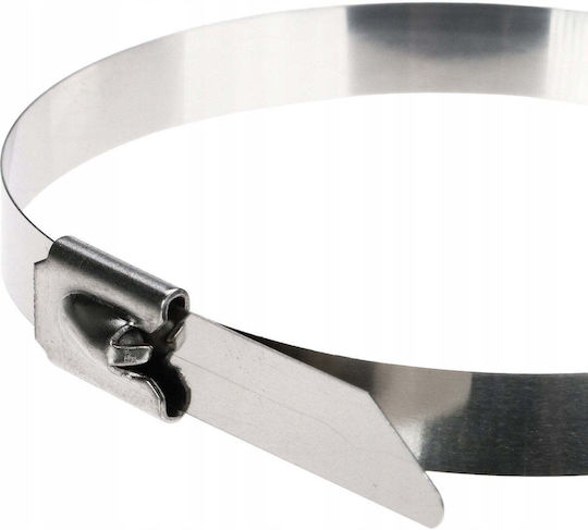 Dymo Metallische Kabelbinder 250mm x 7,9mm (100 Stück)