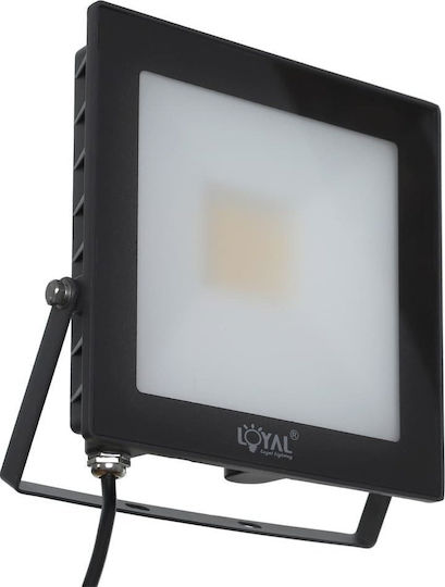 Loyal Lighting Водоустойчив LED прожектор 30W Неутрално бяло 4000K IP65
