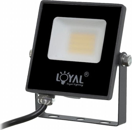 Loyal Lighting Светодиоден Прожектор 10W Неутрално Бяло 4000K IP65 Водоустойчив