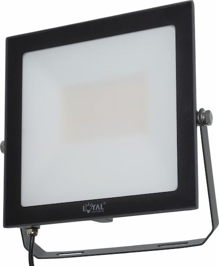 Loyal Lighting Светещ Водоустойчив LED Прожектор 50W Неутрално Бяло 4000K IP65