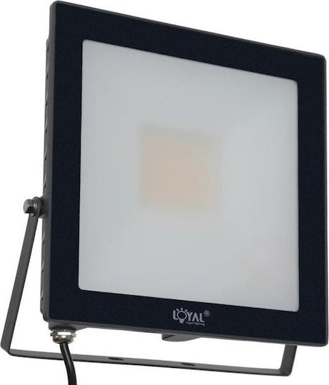 Loyal Lighting Светещ Водоустойчив LED Прожектор 50W Неутрално Бяло 4000K IP65