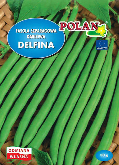 Platinet Green Bean Seeds 30gr