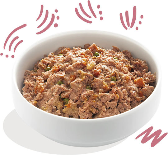 Edgard Cooper Wet Dog Food With Duck Chicken Meat Liver And Vegetables Grain-Free 150gr