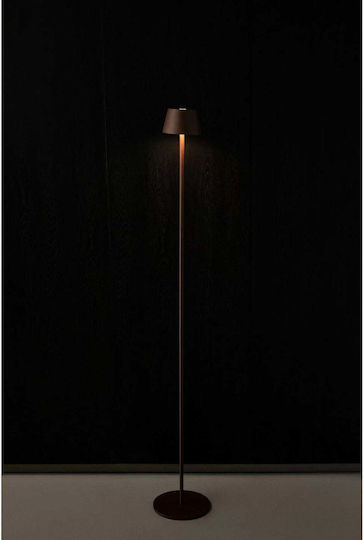 Verlo LED Floor Lamp with Warm White Light Brown