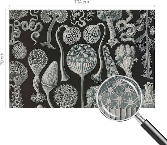 Selbstklebende Tapete Wand 104x70cm