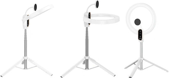 Ulanzi Ringlicht 26,8cm