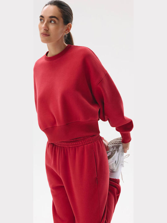 Bagter 264 Sweatpants Burgundy